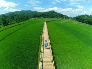 10 Wisata Sawah, Cocok untuk Ngabuburit