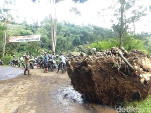 Bersihkan Longsoran, 5 Relawan Terluka Kena Bongkahan Bambu Bersihkan Longsoran, 5 Relawan Terluka Kena Bongkahan Bambu