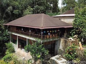 Foto Drone: Tempat Ngopi Tepi Jurang di Bali