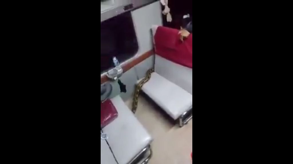 Detik-detik Ular Sanca Jadi Penumpang Gelap di KA Kertajaya Detik-detik Ular Sanca Jadi Penumpang Gelap di KA Kertajaya
