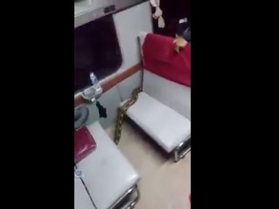 Detik-detik Ular Sanca Jadi Penumpang Gelap di KA Kertajaya