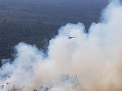 Asap Membubung, Ini Penampakan Hutan Terbakar di Riau