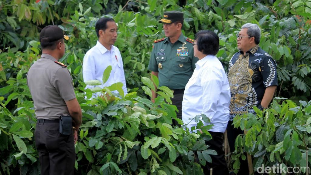 Foto: Hijaunya Hulu Sungai Citarum Foto: Hijaunya Hulu Sungai Citarum