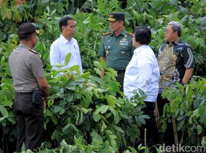 Foto: Hijaunya Hulu Sungai Citarum Foto: Hijaunya Hulu Sungai Citarum