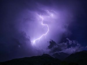 14 Ayam Mati Terpanggang Gegara Tersambar Petir di Sleman