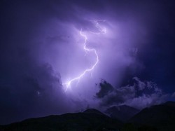 14 Ayam Mati Terpanggang Gegara Tersambar Petir di Sleman