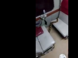 Ingat! Penumpang Tak Boleh Bawa Binatang ke KA, Apalagi Ular Sanca