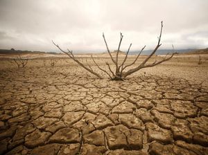 8 Wilayah Paling Terdampak Perubahan Iklim: Krisis Iklim hingga Kelaparan