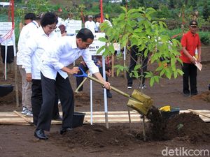 Revitalisasi Sungai Citarum, Jokowi Tanam Pohon