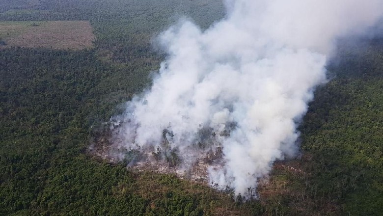 Pemerintah Diminta Antisipasi Karhutla