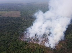 Pemerintah Diminta Antisipasi Karhutla