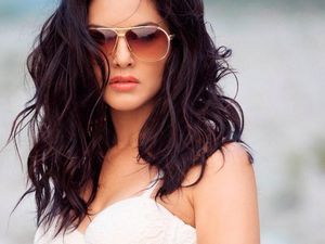 Kocak! Petani Ini Pasang Poster Artis Porno Agar Hasil Panennya Bagus