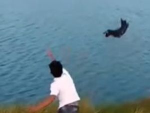 Video: Ketika Anjing Dilempar ke Sungai untuk Jadi Makanan Buaya