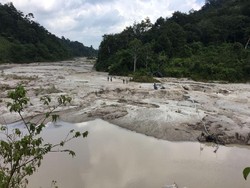 Mengintip Prospek Kinerja PT Timah