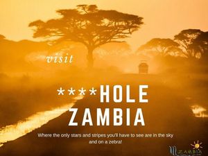 Negara Ini Gunakan Hinaan Trump Untuk Promosi Wisata