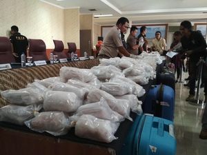 Heboh Aturan Susi soal Benih Lobster Mau Dicabut, Jokowi Buka Suara