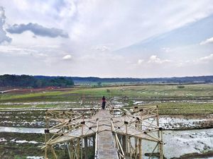 9.718 Ha Lahan Pertanian di Palu hingga Donggala Rusak 9.718 Ha Lahan Pertanian di Palu hingga Donggala Rusak