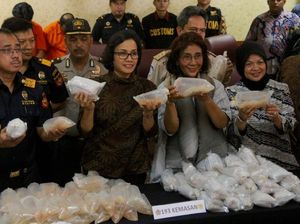 Susi Tak Rela Lobster Sampai Punah Seperti Ikan Sidat