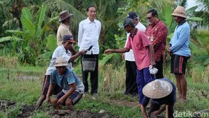Foto: Dialog Jokowi dan Petani Bali