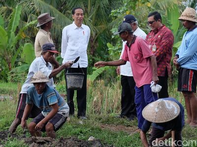 Foto: Dialog Jokowi dan Petani Bali