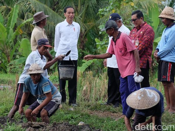 Foto: Dialog Jokowi dan Petani Bali