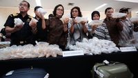 Duet Maut Susi-Sri Mulyani Gagalkan Penyelundupan Bayi Lobster