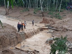 BNPB: Longsor Brebes Murni Bencana Alam, Bukan Illegal Logging