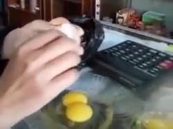 Viral Video Telur Palsu Beredar di Mataram, Ini Faktanya