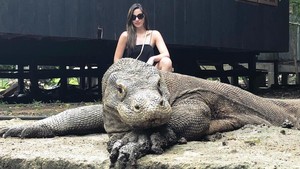 Nia Ramadhani dan Komodo