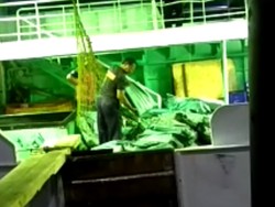 Petugas Bongkar Muatan Kapal yang Diduga Bawa Sabu Jumlah Besar