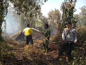 Buka Lahan dengan Cara Dibakar, 4 Orang di Riau Jadi Tersangka
