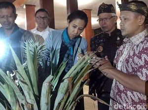 Menteri Rini Kunjungi Desa Binaan BUMN Menteri Rini Kunjungi Desa Binaan BUMN