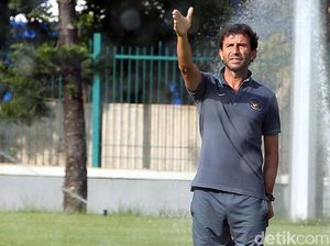 Luis Milla Belum Datang, Tugaskan Agen untuk Negosiasi dengan PSSI