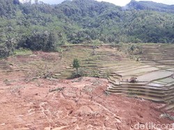 Video Drone Kerusakan Longsor Brebes