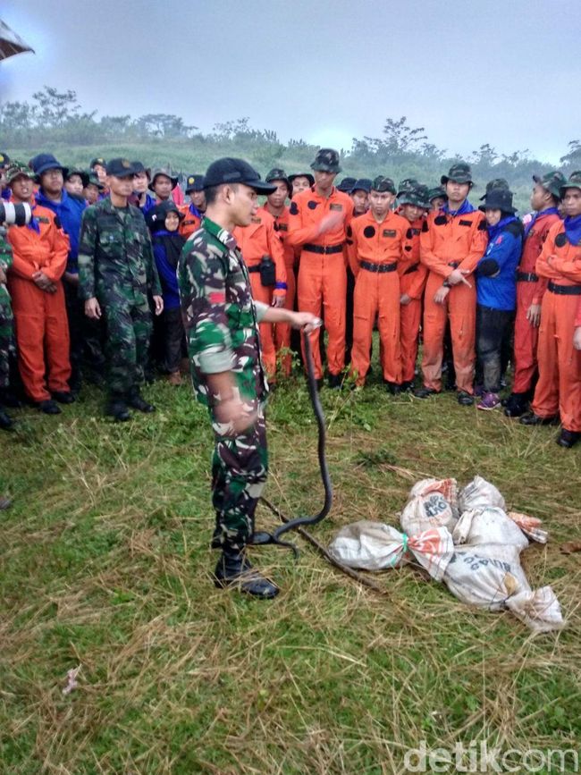 Aksi Prajurit TNI dan Pramugari Kepresidenan Survival Santap Cobra Aksi Prajurit TNI dan Pramugari Kepresidenan Survival Santap Cobra