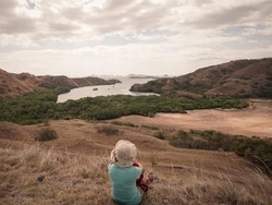 Tempat Terbaik Melihat Komodo