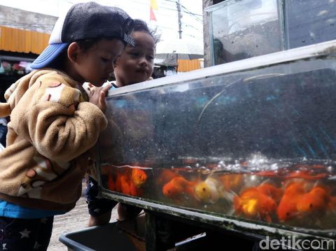 Bunda, Ini 5 Manfaat Memelihara Binatang bagi Anak/
