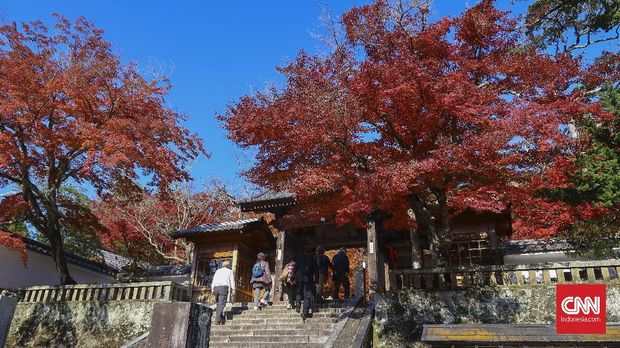 Izu Shuzenji dan Musim Gugur yang Hangat