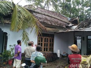 Pohon Tumbang Timpa Rumah di Blitar, Nenek dan Cucu Balitanya Luka