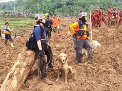 Korban Meninggal Longsor Brebes Jadi 11 Orang