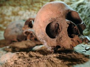 Pengakuan Ahli Mesir Kuno Batuk Darah-Halusinasi Parah usai Buka Makam Mumi