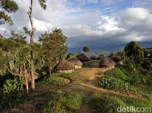 Papua yang Katanya Surga Kecil Jatuh ke Bumi Papua yang Katanya Surga Kecil Jatuh ke Bumi