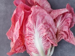 Lettuce Pink Cantik dari Italia Ini Akan Jadi Tren Makanan Terbaru di Instagram