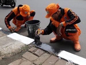 Pasukan Oranye Percantik Trotoar Jalan Rasuna Said Pasukan Oranye Percantik Trotoar Jalan Rasuna Said