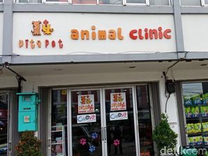 Dituding Terlantarkan Anjing hingga Tewas, Ini Klarifikasi Klinik Vitapet