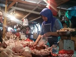 Harga Daging Ayam Mulai Turun dari Rp 36.000 Jadi Rp 33.000/Ekor