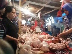 Dolar AS Menguat, Kemendag: Harga Daging Ayam dan Telur Naik