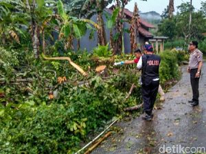 Panjat Rambutan, Pelajar di Kebumen Tewas Tersengat Listrik