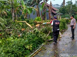 Panjat Rambutan, Pelajar di Kebumen Tewas Tersengat Listrik