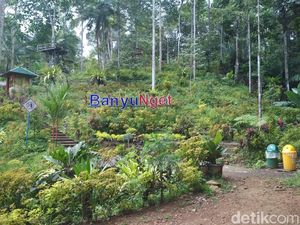 Ini Wisata Kebun Durian di Trenggalek, Penasaran?